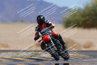 media/Mar-24-2025-Moto Forza (Mon) [[57ce5c5cff]]/3-Beginner Group/Session 4 Turn 4 Tree of Life/